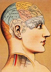 phrenology