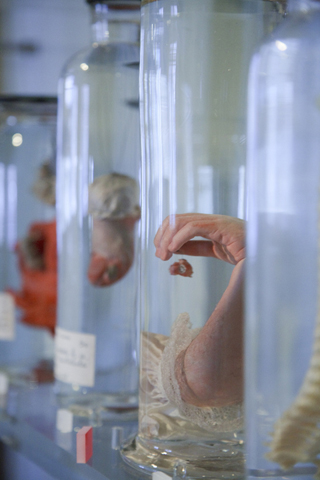 secretmusem08