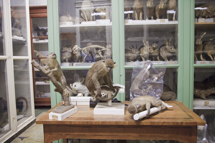 secretmusem15