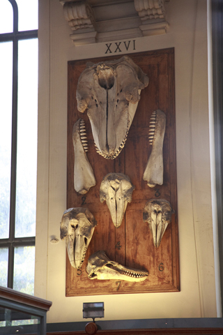 secretmusem29