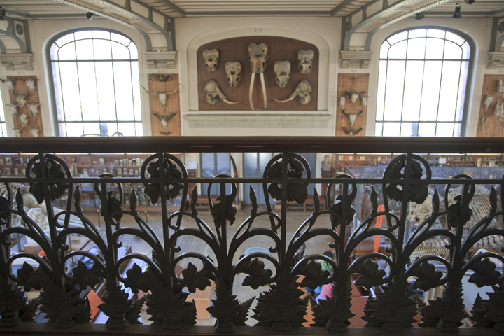 secretmusem32