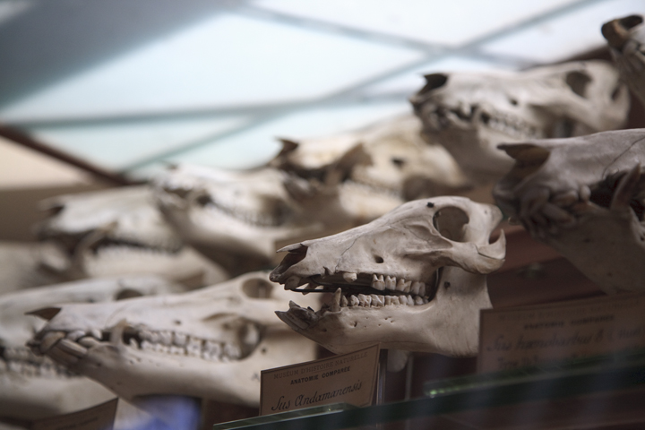 secretmusem33