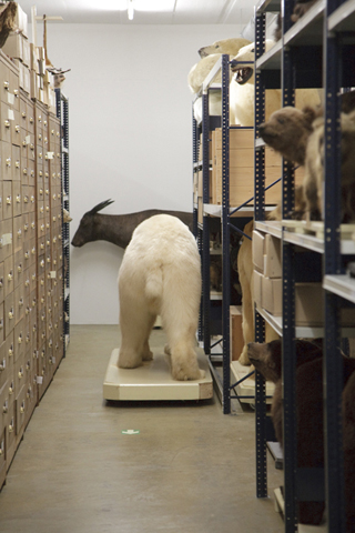 secretmusem66