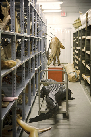 secretmusem67