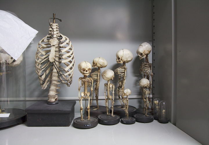 secretmusem72