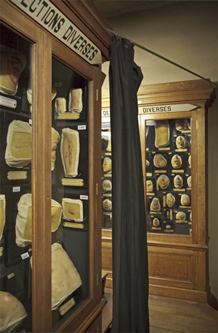 secretmusem76