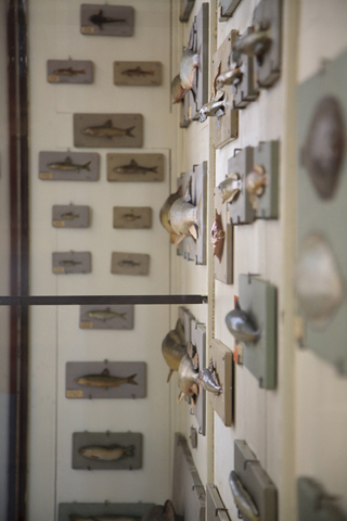 secretmusem84