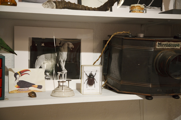 secretmusem93