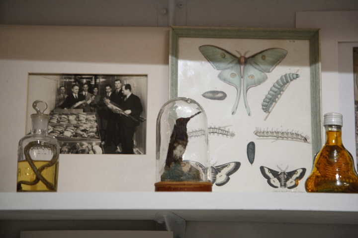 secretmusem94